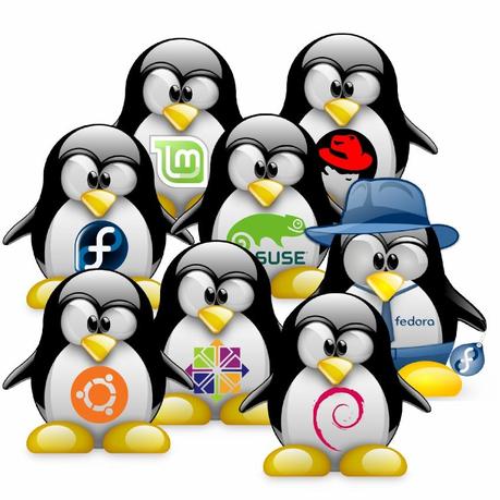 Gruppo di Tux di varie distribuzioni